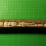 Life in a piece of wood, 40x5, 2021, wood